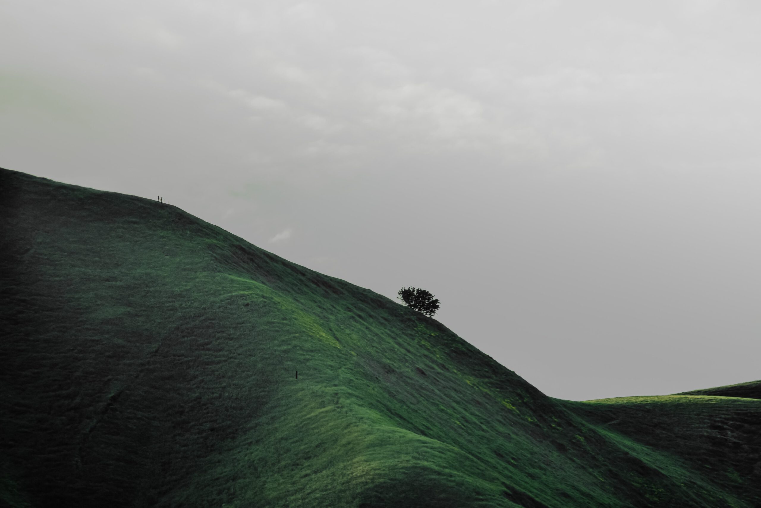 The slope of a mountain - Photo by Ralph (Ravi) Kayden on Unsplash