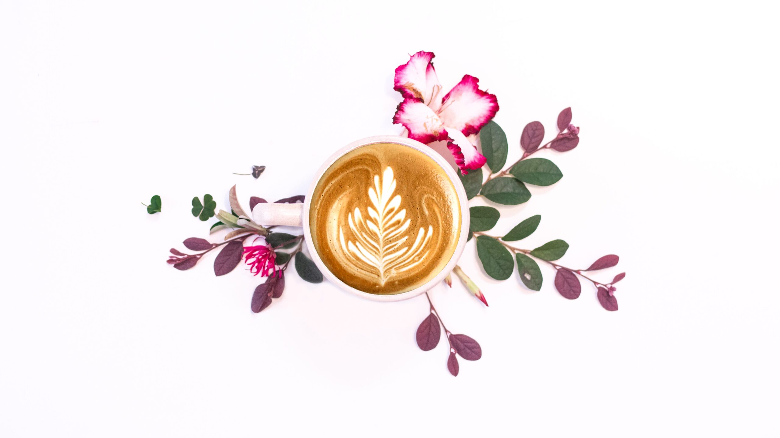 Photo by Kanwardeep Kaur on Unsplash