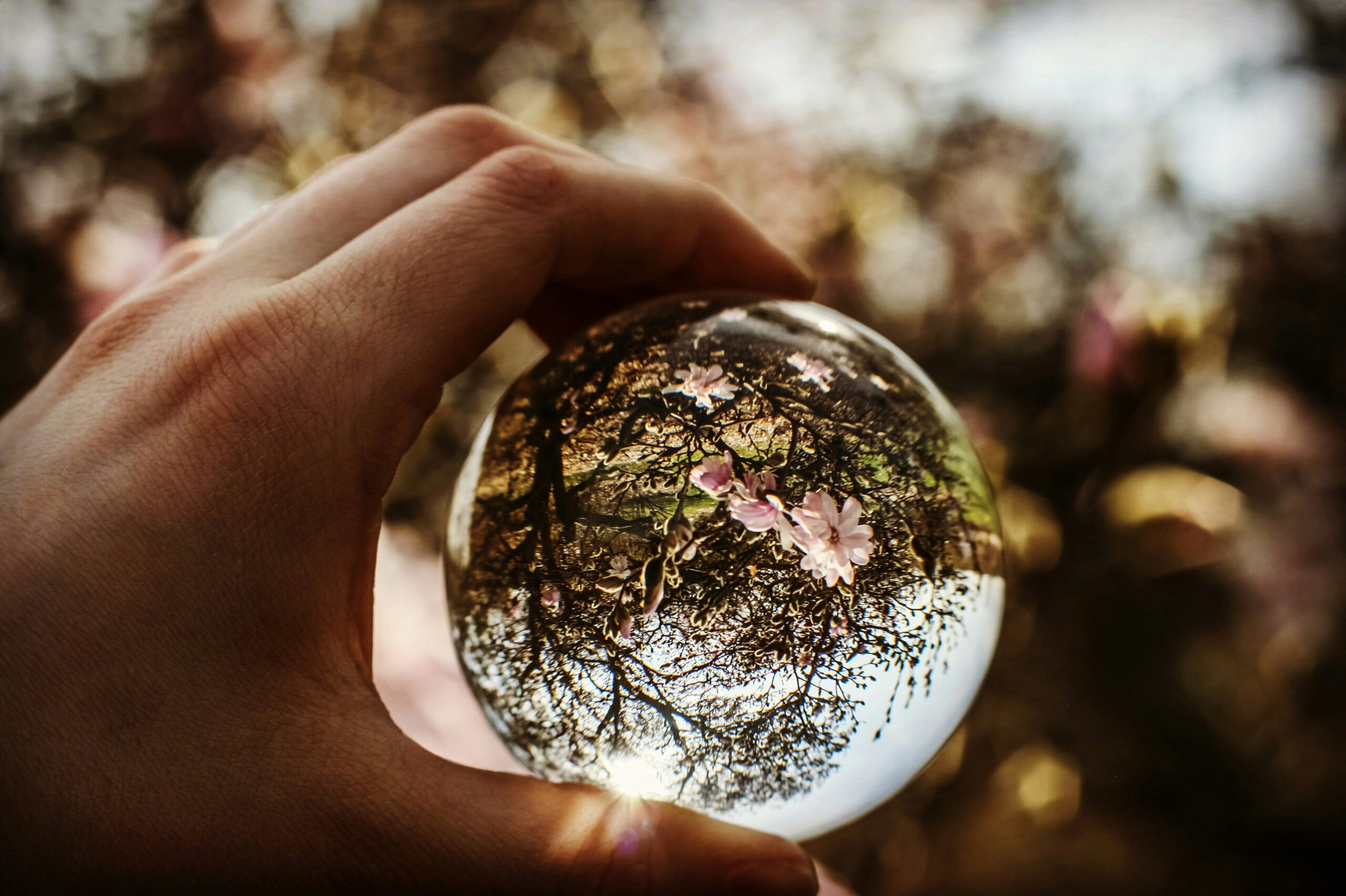 Photo by Hannah Murrell on Unsplash