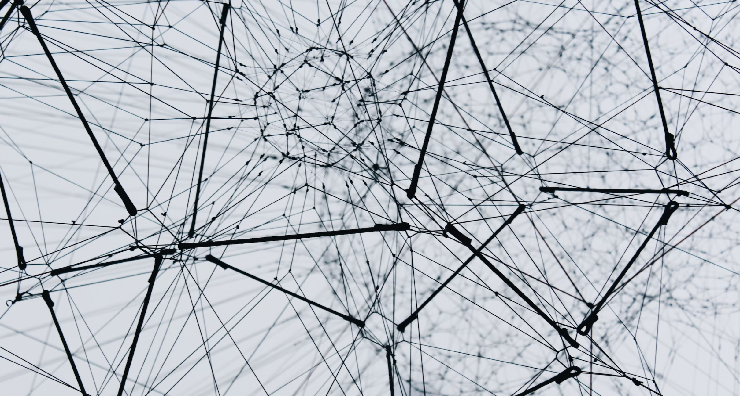 Image: Unsplash.