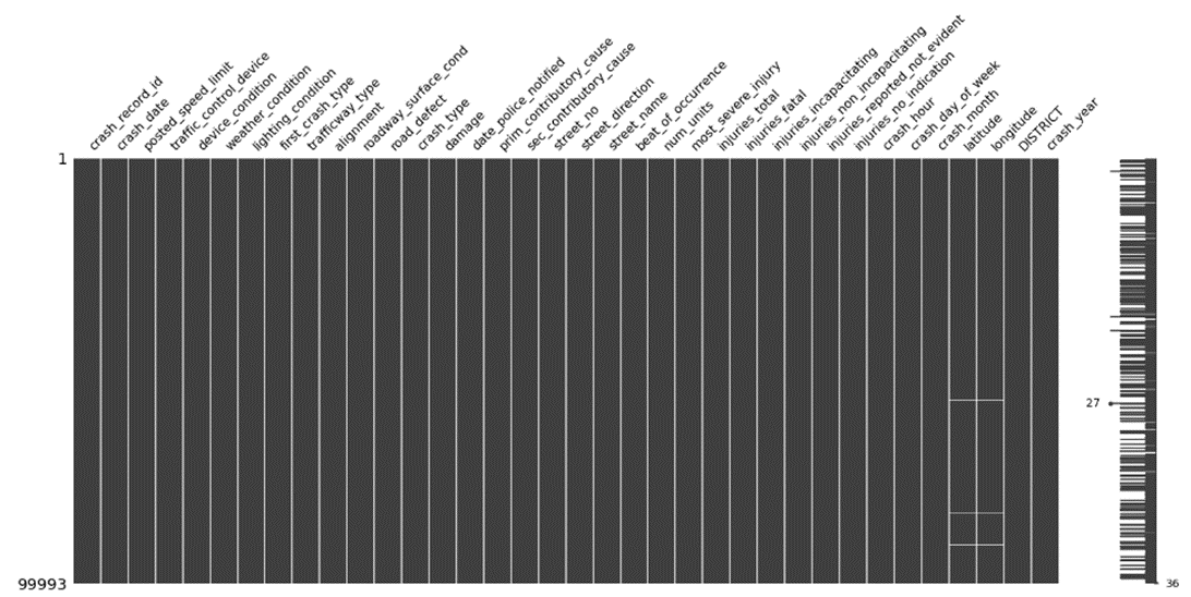 msno matrix of the pruned dataset